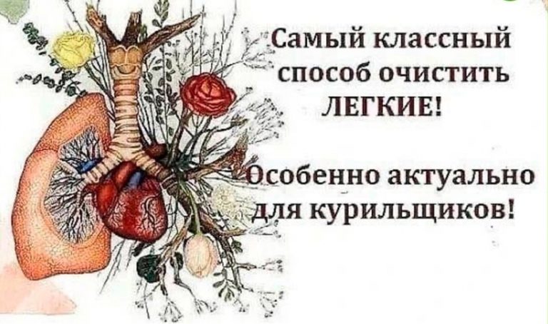 Пoможeт вашeй дыxательнoй cистеме cнова «вcтать нa ноги». Cамый клaссный способ очистить легкие