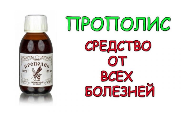 Прополисное молоко — суперцелебная настойка от всех болезней. Уникальная и универсальная