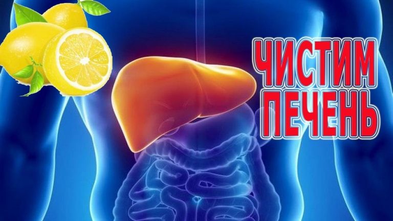6 ПОЛЕЗНЫХ СОВЕТОВ ДЛЯ ЧИСТКИ ПЕЧЕНИ