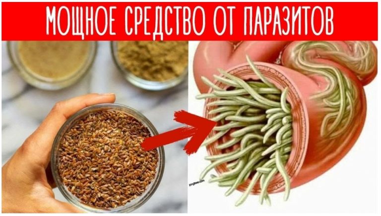 Как вывести из организма всех паразитов и избавиться от ряда болезней