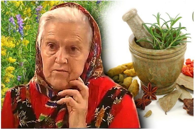 Монастырская травница: Не хотите болеть — накопайте себе три корня — лопуха, пырея и одуванчика