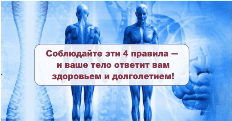 Соблюдайте эти 4 правила — и ваше тело ответит вам здоровьем и долголетием
