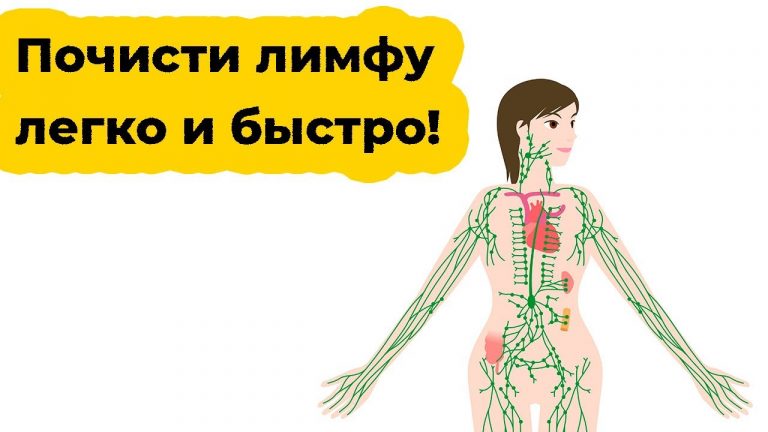 Ваша лимфа забита токсинами, если у вас есть эти 7 симптомов. Вот 10 способов очистки