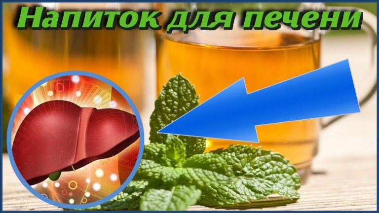 Напитки для очистки печени