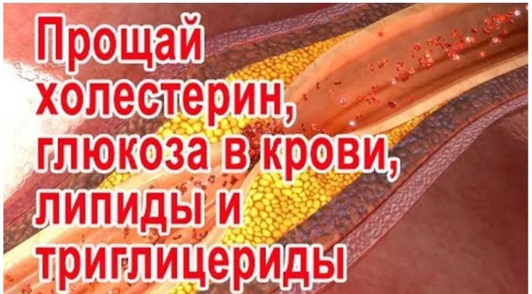 Попрощайтесь с высоким уровнем холестерина, глюкозы в крови, липидами и триглицеридами