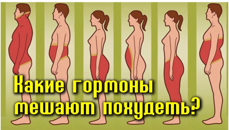 Есть 6 гормонов, которые мешают вам похудеть. Вот что делать с каждым из них
