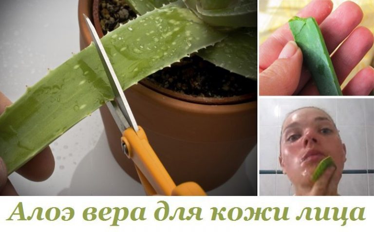 Она протерла лицо листом алоэ вера… То, что произошло через 15 минут, поразит каждого