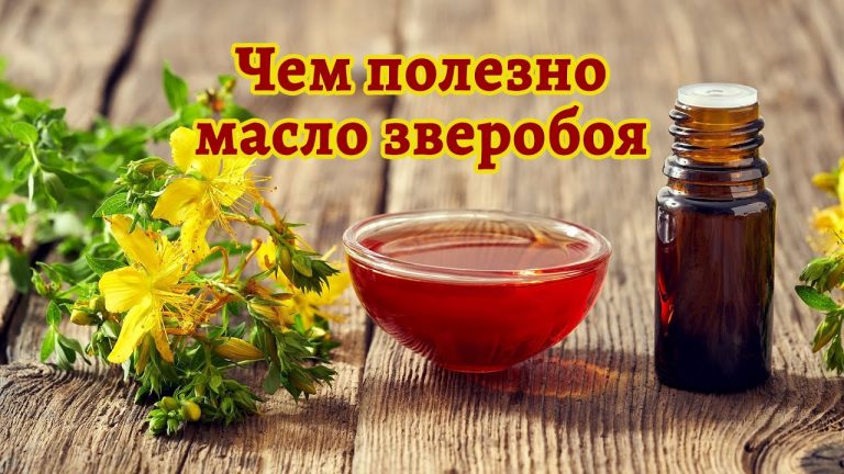 Бесценное зверобойное масло — сделайте сами и лечите всю семью
