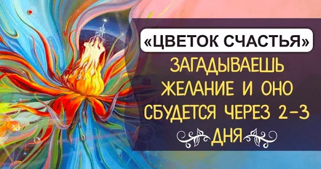 «Цветок счастья» загадываешь желание, и оно сбудется через 2-3 дня