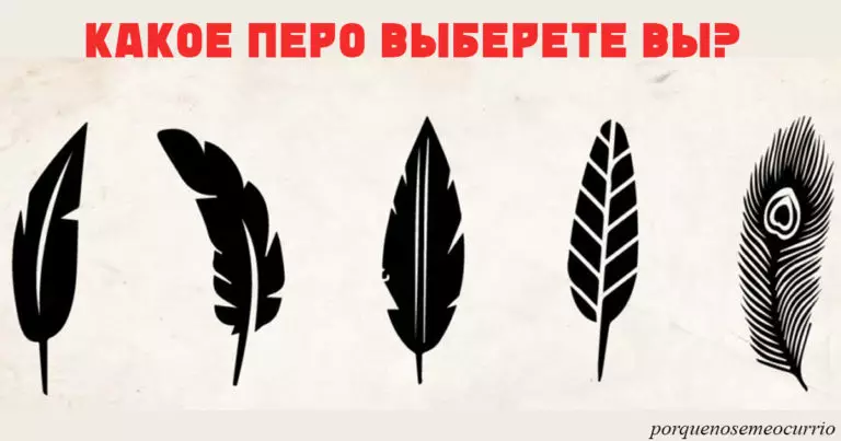 Выберите перо, которое вам нравится, — и мы узнаем, в чем ваша уникальность!
