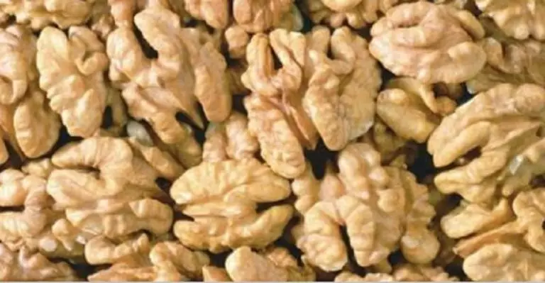 10 самых здоровых продуктов на планете