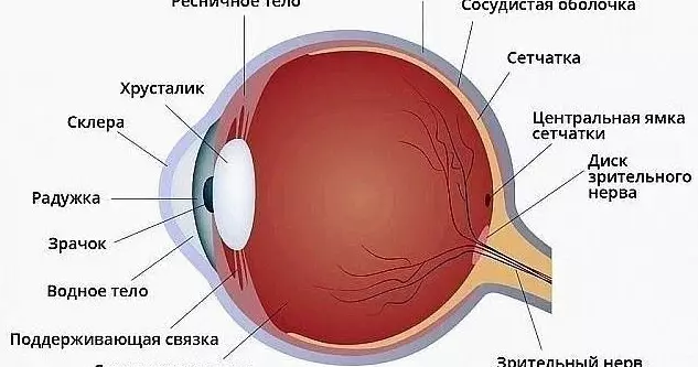 БАБУШКИН РЕЦЕПТ!!! ЗРЕНИЕ ВОЗВРАЩАЕТСЯ БЕЗ ОПЕРАЦИИ!!!