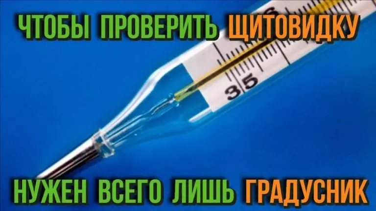 Проверьте щитовидную железу. Всё, что вам нужно, — только термометр!