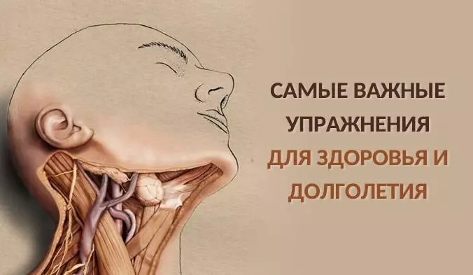 Самые важные упражнения для здоровья и долголетия