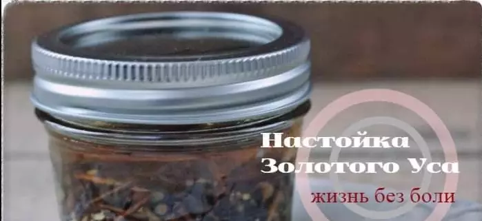 Золотой Ус на водке. Сделаем настойку и забудем о суставной боли!