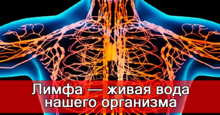 Активизировать лимфатическую систему и предотвратить развитие раковых клеток можно применяя 9 простых способов!