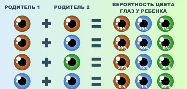 «В маму или в папу?» Несколько удивительных фактов из мира генетики