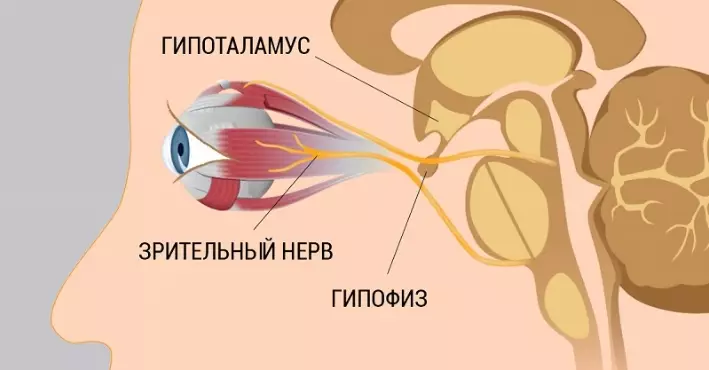 8 шагов к улучшению и восстановлению зрения. Работает, даже если ты носишь очки!