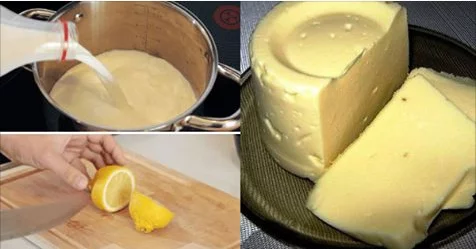 Домашний сыр за 3 часа. Пошаговый рецепт