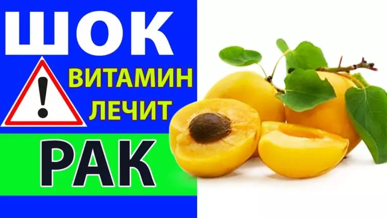 Витамин, который убивает рак! Наши предки знали об этом! Почему не знаем МЫ?