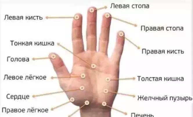 Нажмите на эти точки на ладони и ждите — результаты поразят Вас!