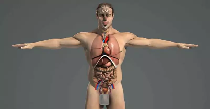 ÐовâÑзане зобÑаженнÑ