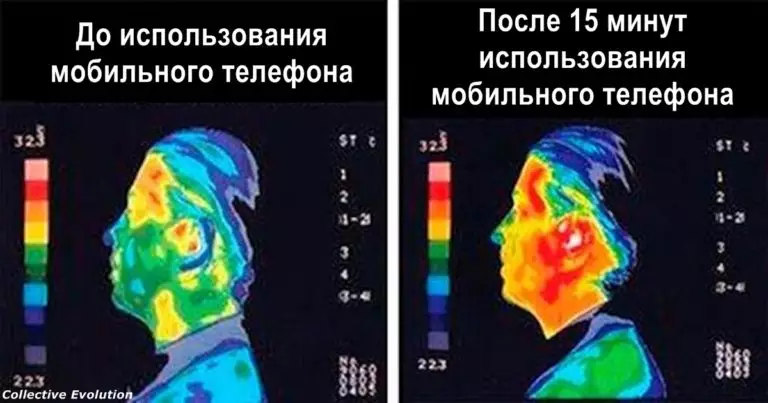В Европе запрещают Wi-Fi в школах и детсадах. И на то есть очень тревожная причина…