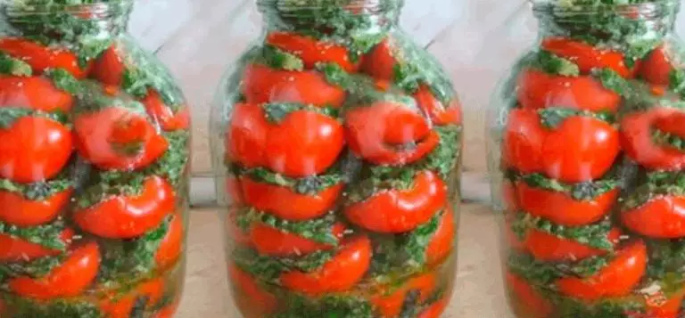 Вкуснейшие помидоры по-корейски быстрого приготовления