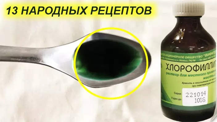 Копеечный «Хлорфиллипт»: 13 рецептов для вашего здоровья