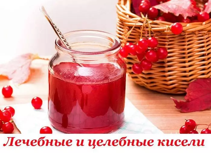 ЛЕЧЕБНЫЕ КИСЕЛИ ДЛЯ КРАСОТЫ И ЗДОРОВЬЯ