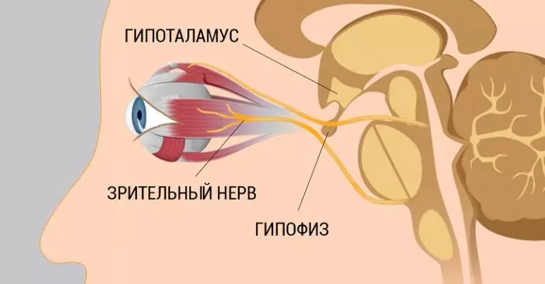 Всего 8 шагов к улучшению и восстановлению зрения. Работает, даже если ты носишь очки!