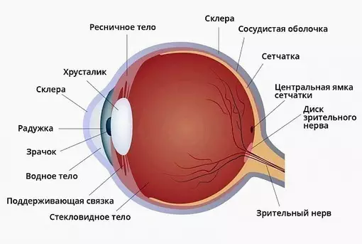 Зрение возвращается без операции