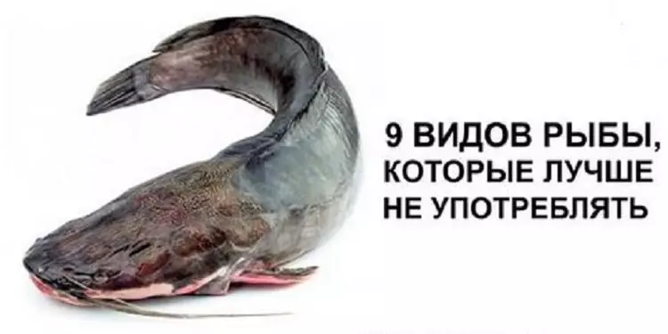 9 видов рыбы, которые лучше не употреблять
