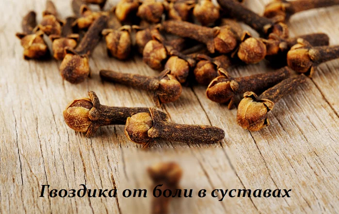 ГВОЗДИКА ОТ БОЛИ В СУСТАВАХ