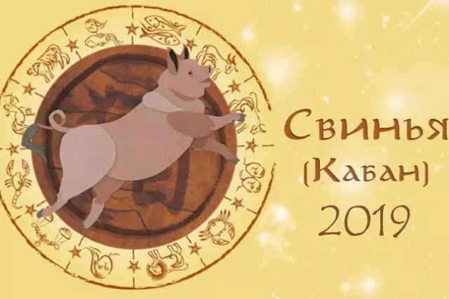 Общий гороскоп на 2019 год Свиньи по знакам Зодиака
