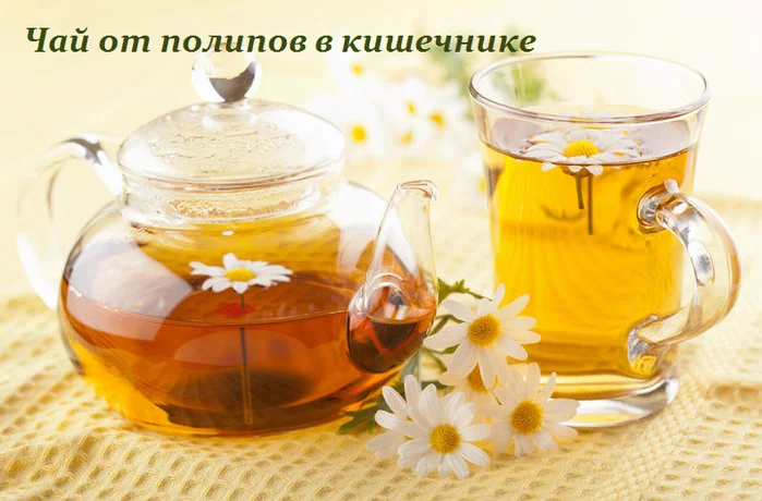 ЧАЙ ОТ ПОЛИПОВ В КИШЕЧНИКЕ