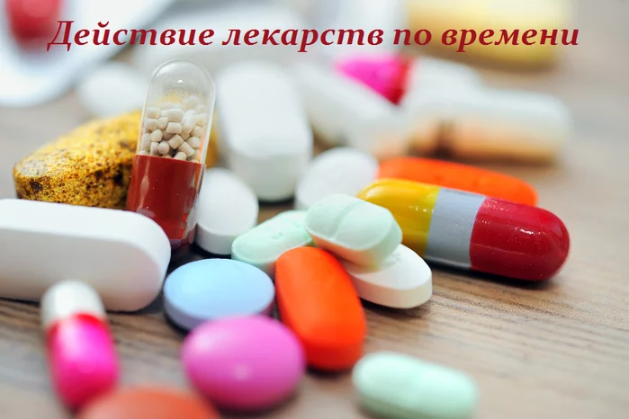 ДЕЙСТВИЕ ЛЕКАРСТВ ПО ВРЕМЕНИ — ЭТО ВАЖНО ЗНАТЬ