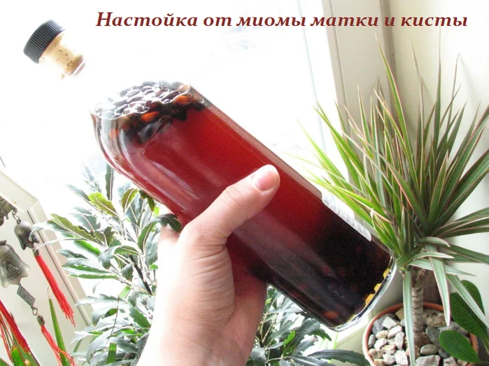 НАСТОЙКА ОТ МИОМЫ МАТКИ И КИСТЫ — ПОПРАВЛЯЕМ ЖЕНСКОЕ ЗДОРОВЬЕ