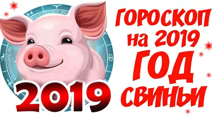 Точный гороскоп на 2019 год Свиньи для каждого Знака Зодиака
