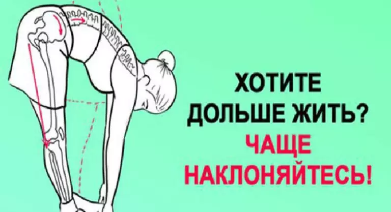 Хочешь жить дольше? Надо чаще наклоняться!