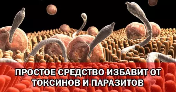 Знаете ли вы, что наш организм имеет около 15 кг токсинов? Вот как избавиться от них и не только… Смотрите!