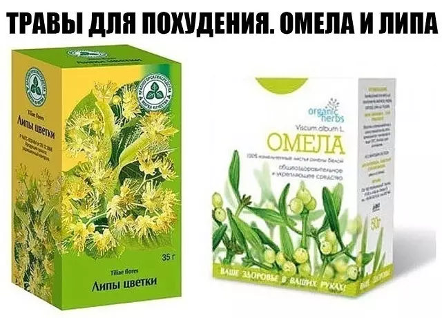 ТРАВЫ ДЛЯ ПОХУДЕНИЯ. ОМЕЛА И ЛИПА