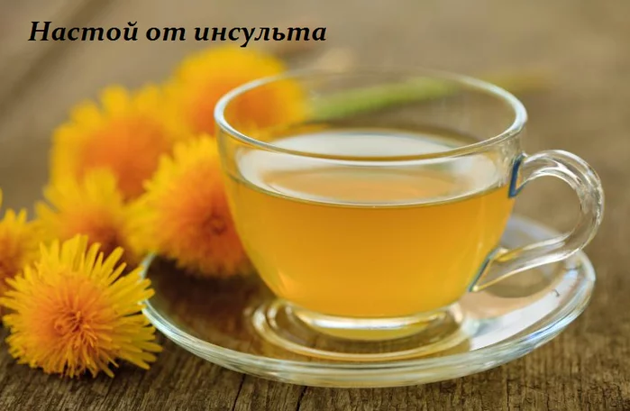 НАСТОЙ ОТ ИНСУЛЬТА