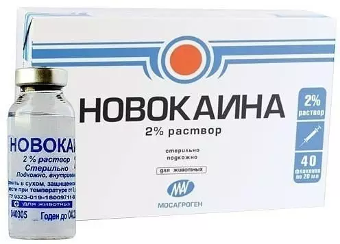 ВОЛШЕБНЫЕ СВОЙСТВА НОВОКАИНА