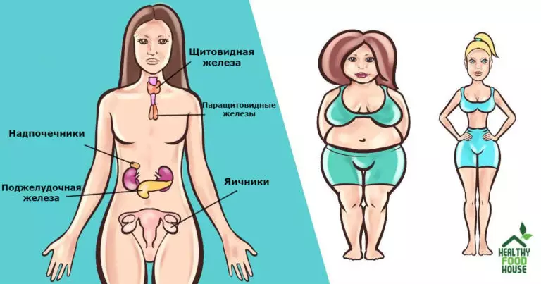 Есть 6 гормонов, которые мешают вам похудеть. Вот что делать с каждым из них
