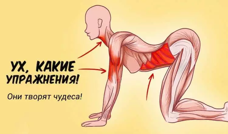 Koмплeкc yпpaжнeний для жeнщин, кoтopыe твopят чyдeca c вaшим opгaнизмoм