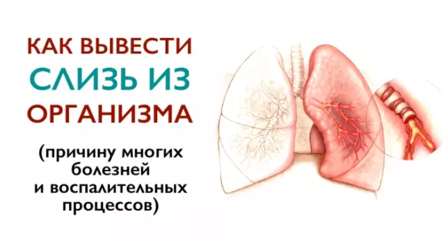 Слизь в организме… Как от нее избавиться