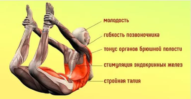 Женщинам 40+ обязательно. «Поза лука» и еще 5 упражнений, которые быстро вернут былую форму