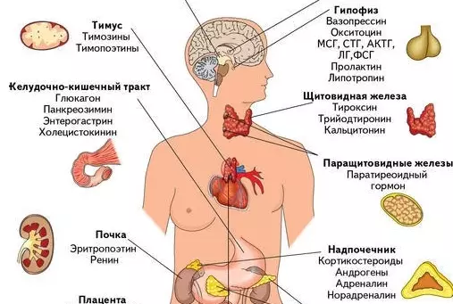 Потрясающее средство омоложения всех тканей организма