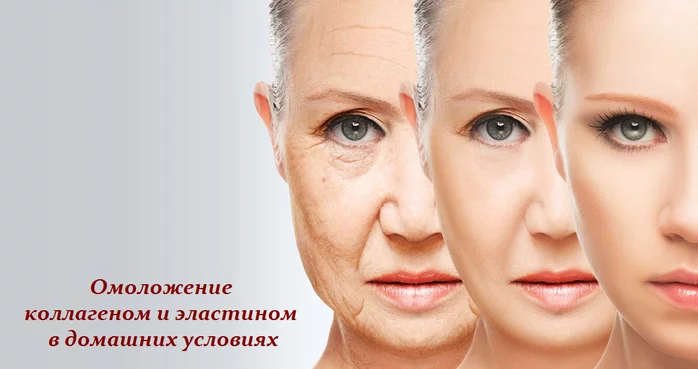 ОМОЛОЖЕНИЕ КОЛЛАГЕНОМ И ЭЛАСТИНОМ В ДОМАШНИХ УСЛОВИЯХ